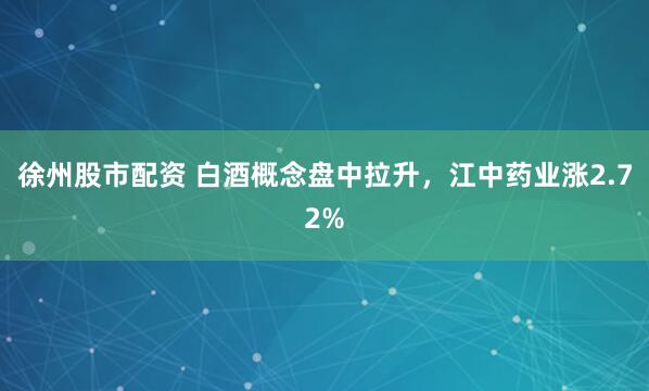 徐州股市配資 白酒概念盤中拉升，江中藥業(yè)漲2.72%